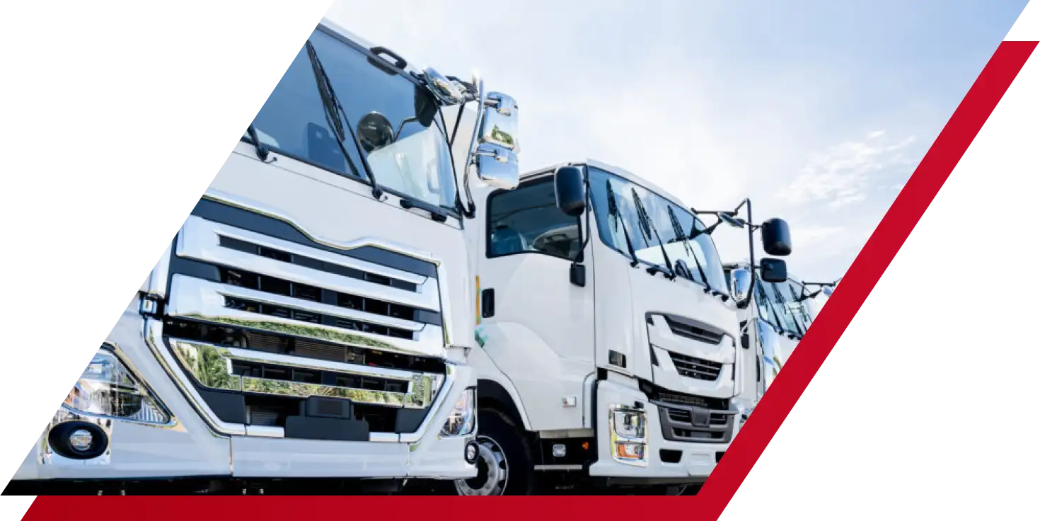 2024年4月から特定技能「自動車運送業」が追加